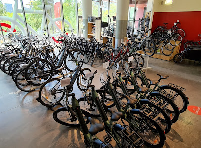 Intérieur magasin de vélos Montpellier Sud